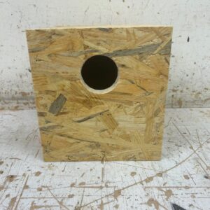 Neophema broedblok | Broedblokken eleganten / splendid ACTIE