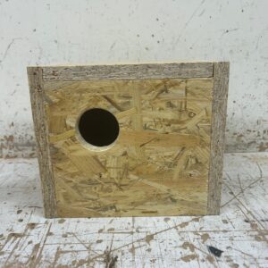 Agapornis broedblok | Engelsparkieten broedblok nieuwe ACTIE